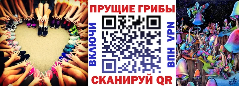 где купить наркотик  mega   Галлюциногенные грибы MAGIC MUSHROOMS  Орск 